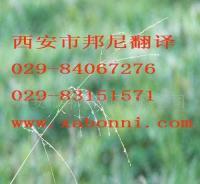 提供各小語(yǔ)種翻譯服務(wù) 價(jià)格、廠家與一站式解決方案