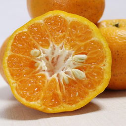 優質農產品助力精準扶貧 新鮮當季水果與蔬菜，脆甜可口全國包郵