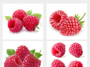 多種水果高清大圖與設計素材集合，附飲品美食大全與新鮮蔬菜資源