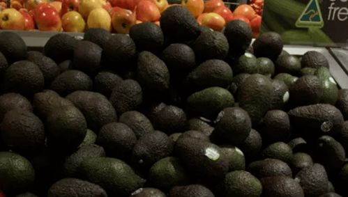 澳洲牛肉價格將上漲，果蔬價格有望下跌 市場波動背后的原因與展望